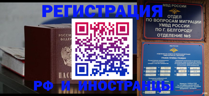 прописка 2025 в Шахунье